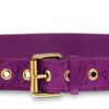 Replica Louis Vuitton M0208U LV Dauphine 25mm Reversible Belt 2