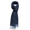 Replica Louis Vuitton The Ultimate Scarf M76383