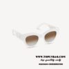 Replica Louis Vuitton Paris Texas Sunglasses LV Z1132E 2