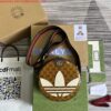 Replica Adidas x Gucci backpack ‎495563 Beige and brown 2