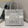 Replica Dior Book Tote bag in Gray Multicolor Mizza Embroidered Velvet