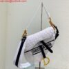 Replica Dior Saddle Bag M0446 Gray Mizza Embroidery