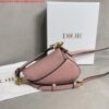 Replica Dior S5685 Micro Saddle Bag With Strap Scarlet Orange Goatskin