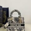 Replica Dior Medium Lady D-Lite Bag Latte Multicolor Constellation Emb 2