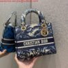 Replica Dior M0565 Medium Lady D-lite Embroidery Bag colourful 2