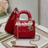 Replica Dior Quilted Cannage Small Diorama Lambskin M0421
