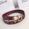 Replica Dior Saddle 20MM Belt In Grey Calfskin 2