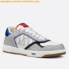 Replica Dior Men's B27 Low-top Sneakers In Grey Calfskin