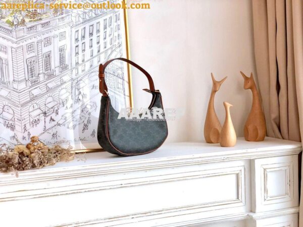 Replica Celine Ava Bag In Triomphe Canvas 193952 Tan 4