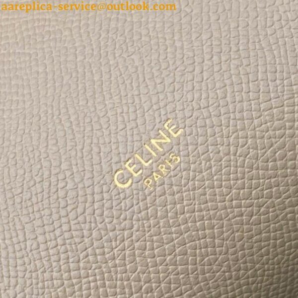 Replica Celine Micro Belt Bag In Light Taupe Grained Calfskin 8