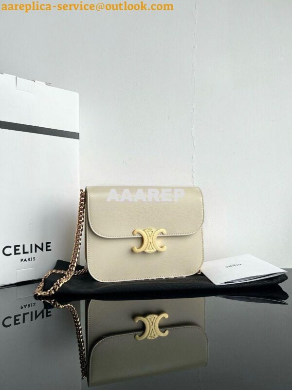 Replica Celine Medium College Bag In Shiny Calfskin 113583 Pampa 2