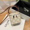 Replica Celine Mini Vanity Case In Triomphe Canvas And Calfskin 10J762 2