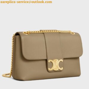 Replica Celine Teen Victoire Bag in Brown Sepia Calfskin