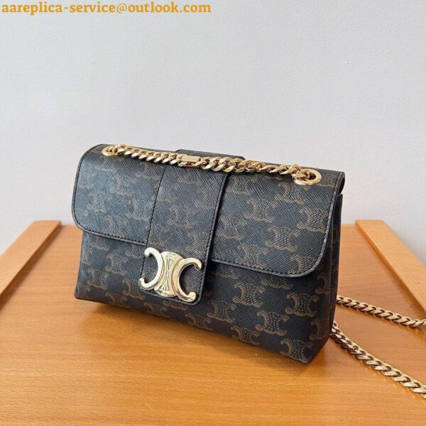 Replica Celine Teen Victoire Bag in Triomphe Canvas 9