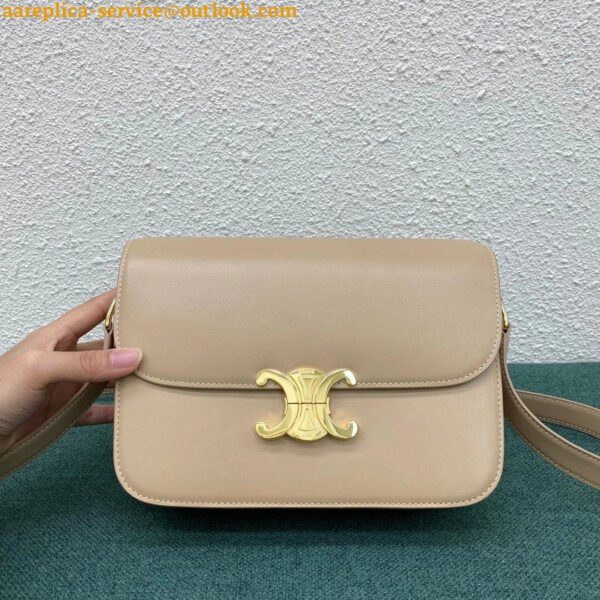 Replica Celine Triomphe Medium Bag In Nude Smooth Calfskin 5