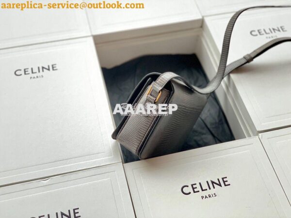 Replica Celine Teen Triomphe Bag in Lizard 188424 Anthracite 5