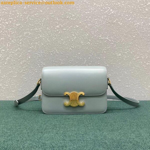 Replica Celine Triomphe Teen Bag In Mineral Leather 8