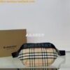 Replica Burberry Medium Monogram Stripe E-canvas Bum Bag 80172121 Brow 2