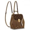 Replica Louis Vuitton Bronze Hot Springs Backpack M54389 BLV024