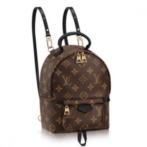 Replica Louis Vuitton Palm Springs Mini Backpack M41562 BLV017