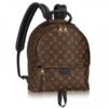 Replica Louis Vuitton Belmont PM Bag Damier Ebene N60296 BLV096 2