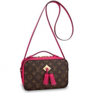 Replica Louis Vuitton Freesia Saintonge Bag Monogram M43557 BLV465