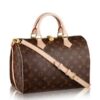 Replica Louis Vuitton Neverfull MM M46231