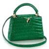 Replica Louis Vuitton Capucines Mini Crocodile Bag N93074 BLV806 2