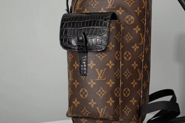 Replica Louis Vuitton Christopher Backpack N93491 13