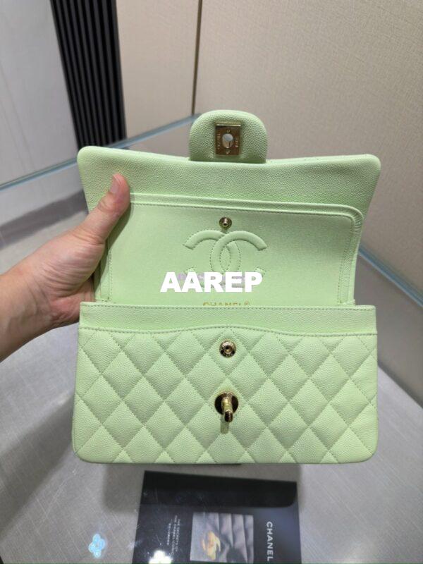 Replica Chanel Small Classic Double Flap Bag in Light Gold Hardware 23cm Quilted Caviar Light Green 9