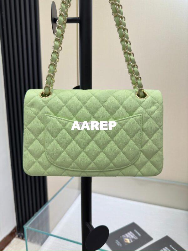 Replica Chanel Small Classic Double Flap Bag in Light Gold Hardware 23cm Quilted Caviar Light Green 13