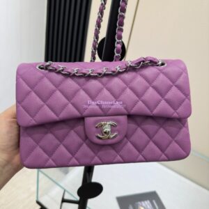 Replica Chanel Small Classic Double Flap Bag in Silver Hardware 23cm Quilted Caviar Yam 2