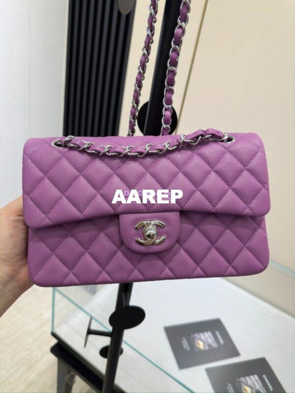 Replica Chanel Small Classic Double Flap Bag in Silver Hardware 23cm Quilted Caviar Yam 4