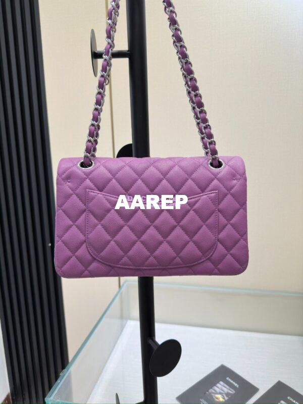 Replica Chanel Small Classic Double Flap Bag in Silver Hardware 23cm Quilted Caviar Yam 14