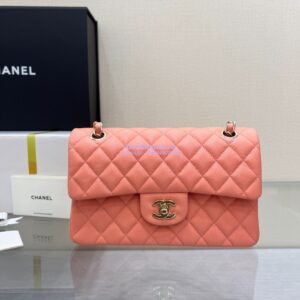Replica Chanel Small Classic Double Flap Bag in Light Gold Hardware 23cm Quilted Caviar Coral 2