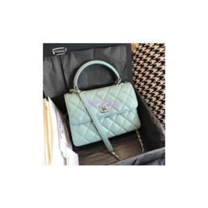 Replica Chanel Small Trendy CC A92236 mint Flap Bag With Metal Plate 2