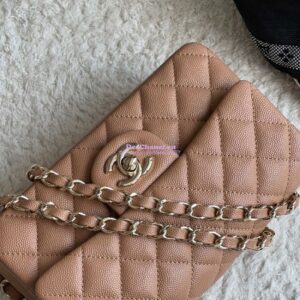 Replica Chanel Small Classic Flap CF Bag Quilted Caviar Shining Light Gold Hardware 20cm in Dark Beige 2