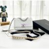 Replica Chanel 19 Wallet On Chain WOC AP0957 Grey Silver hardware