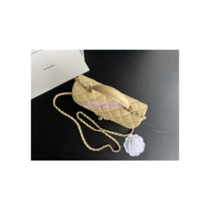 Replica Chanel Beige Lambskin Mini Flap Bag With Top Handle AS2431 2