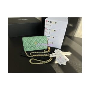 Replica Chanel 23C Wallet On Chain WOC Lambskin Bag with Charm AP3071 Green