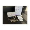 Replica Chanel 23C Wallet On Chain WOC Lambskin Bag with Charm AP3071 Green