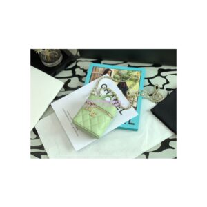 Replica Chanel Petit Curved Vanity Case With Chain in Grained Calfskin AP2503 Light Green