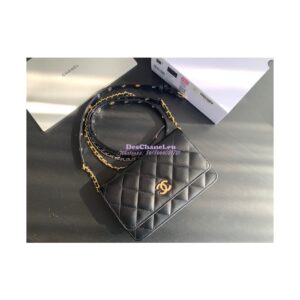 Replica Chanel Wallet On Chain WOC in Black Goatskin AP2548 2