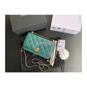 Replica Chanel Calfskin Wallet On Chain WOC with adjustable chain strap AP2289 Green 2