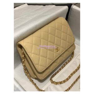 Replica Chanel New Magnetic Caviar Wallet On Chain WOC Beige Bag 33814 2