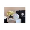 Replica Chanel Wallet On Chain WOC Grained Calfskin AP1794 Grey 2