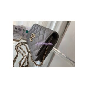 Replica Chanel Wallet On Chain WOC Grained Calfskin AP1794 Grey 2