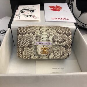 Replica Chanel Python Small 20cm Classic Flap Bag 25