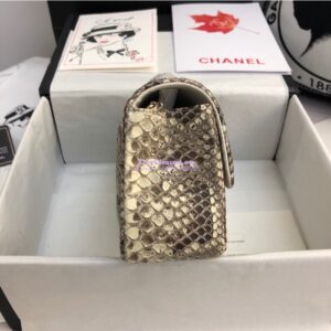Replica Chanel Python Small 20cm Classic Flap Bag 25 2