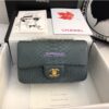 Replica Chanel Python Small 20cm Classic Flap Bag 21 2